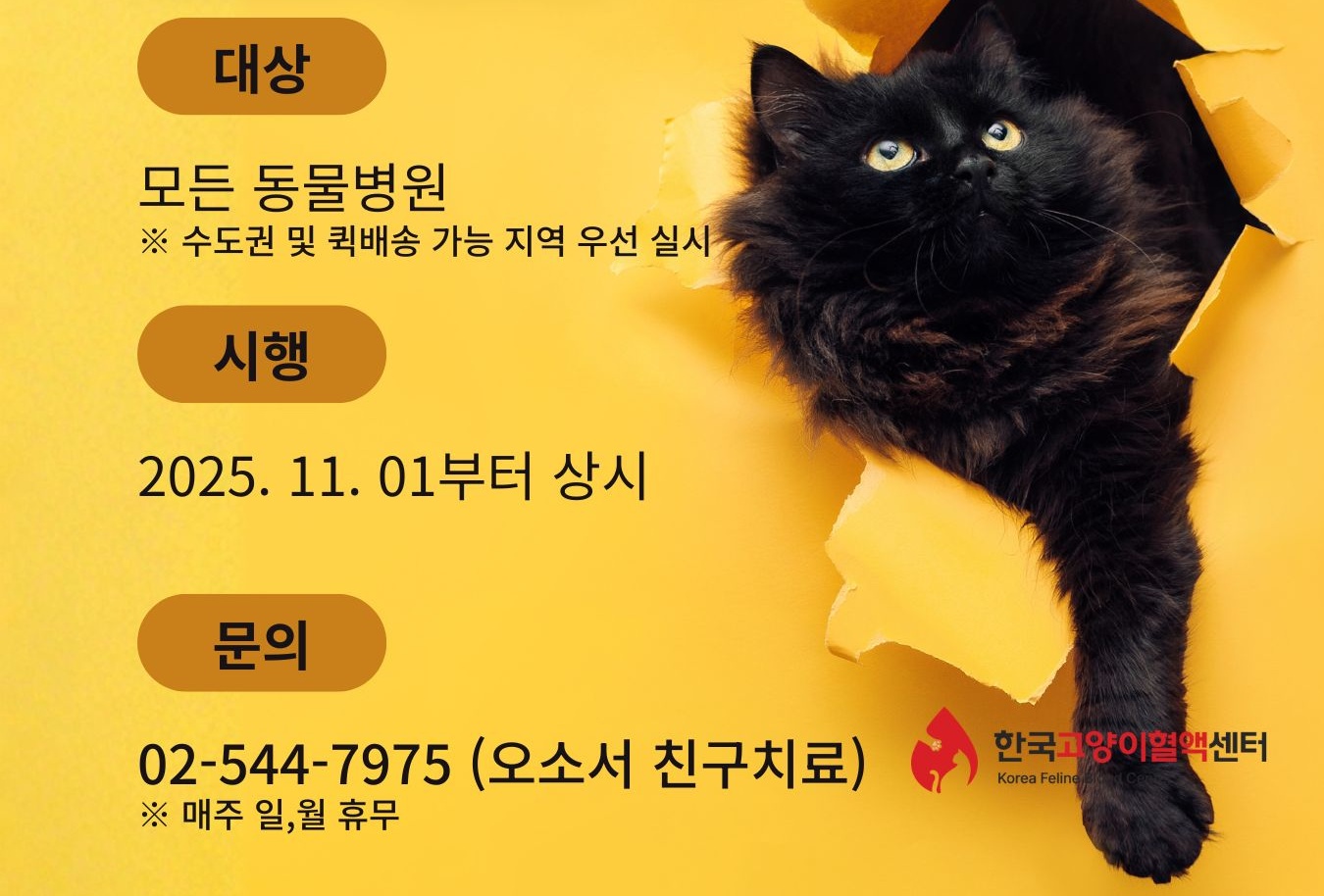 한국고양이혈액센터, 고양이혈액 일선 동물병원 공급 시작