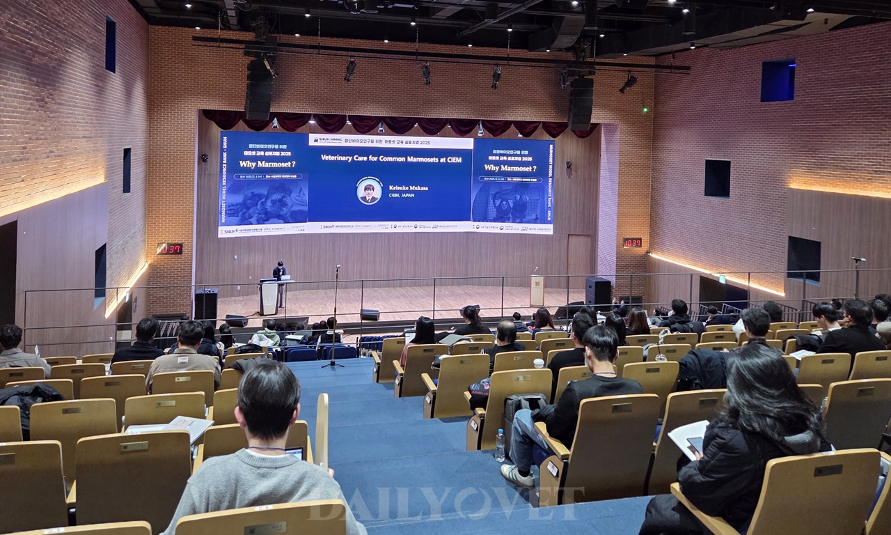 이 이미지는 대체 속성이 비어있습니다. 그 파일 이름은 20251203marmoset3_CIEM.jpg입니다