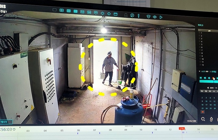 이번 겨울 가금농장 고병원성 AI, H5N1·H5N6 함께 포착