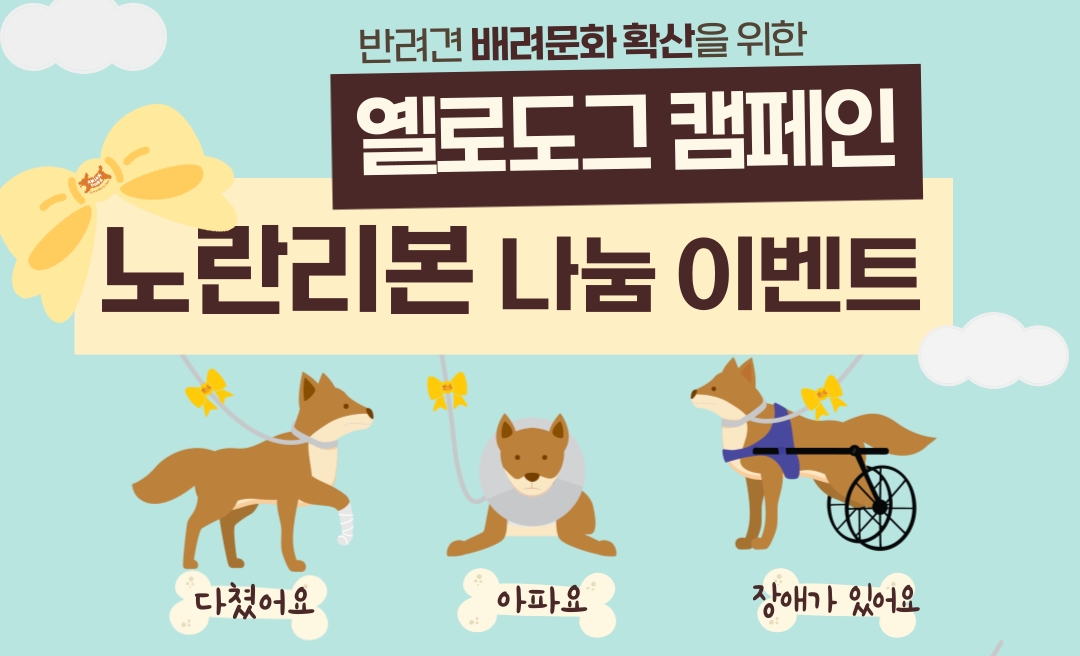 ‘노란 리본 단 반려견은 배려해주세요’ 울산반려동물문화센터 캠페인