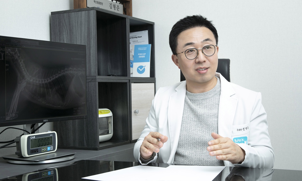 이 이미지는 대체 속성이 비어있습니다. 그 파일 이름은 20251217catblood_khj2.jpg입니다