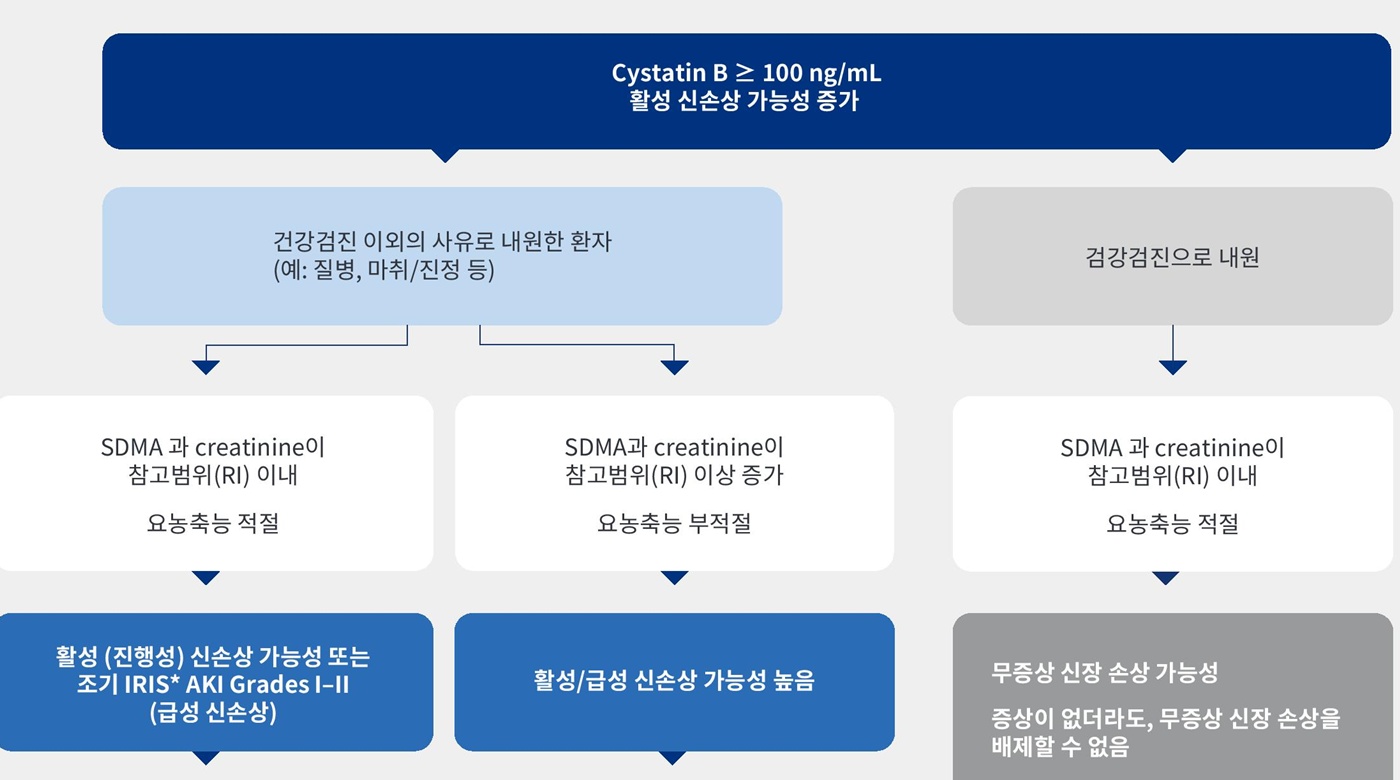 “CREA 정상인 무증상 AKI, Cystatin B로 조기 진단 가능”
