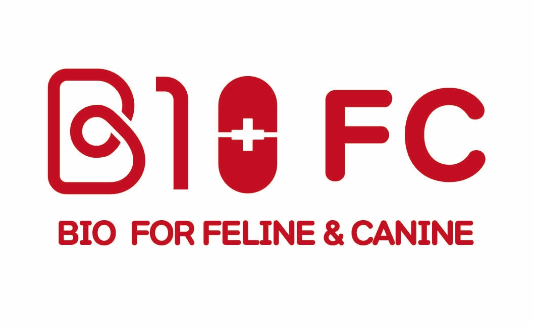 반려동물 전문 헬스케어 기업 ㈜810FC, 강원창경 시드 투자 유치..지역 연계 성장 가치 인정받아