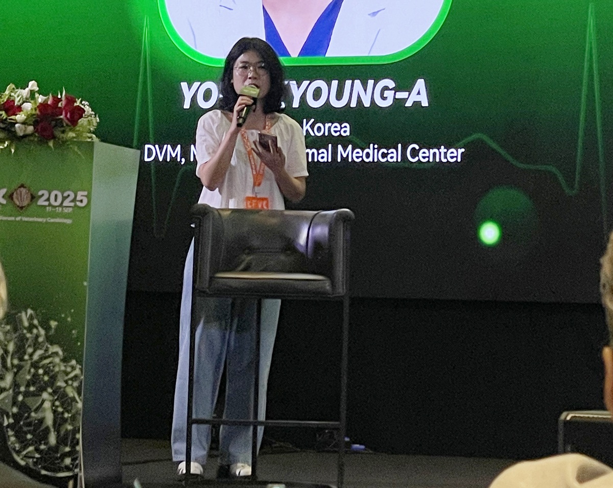 엽경아 센터장 심장 웨비나, 인도네시아로 송출된다