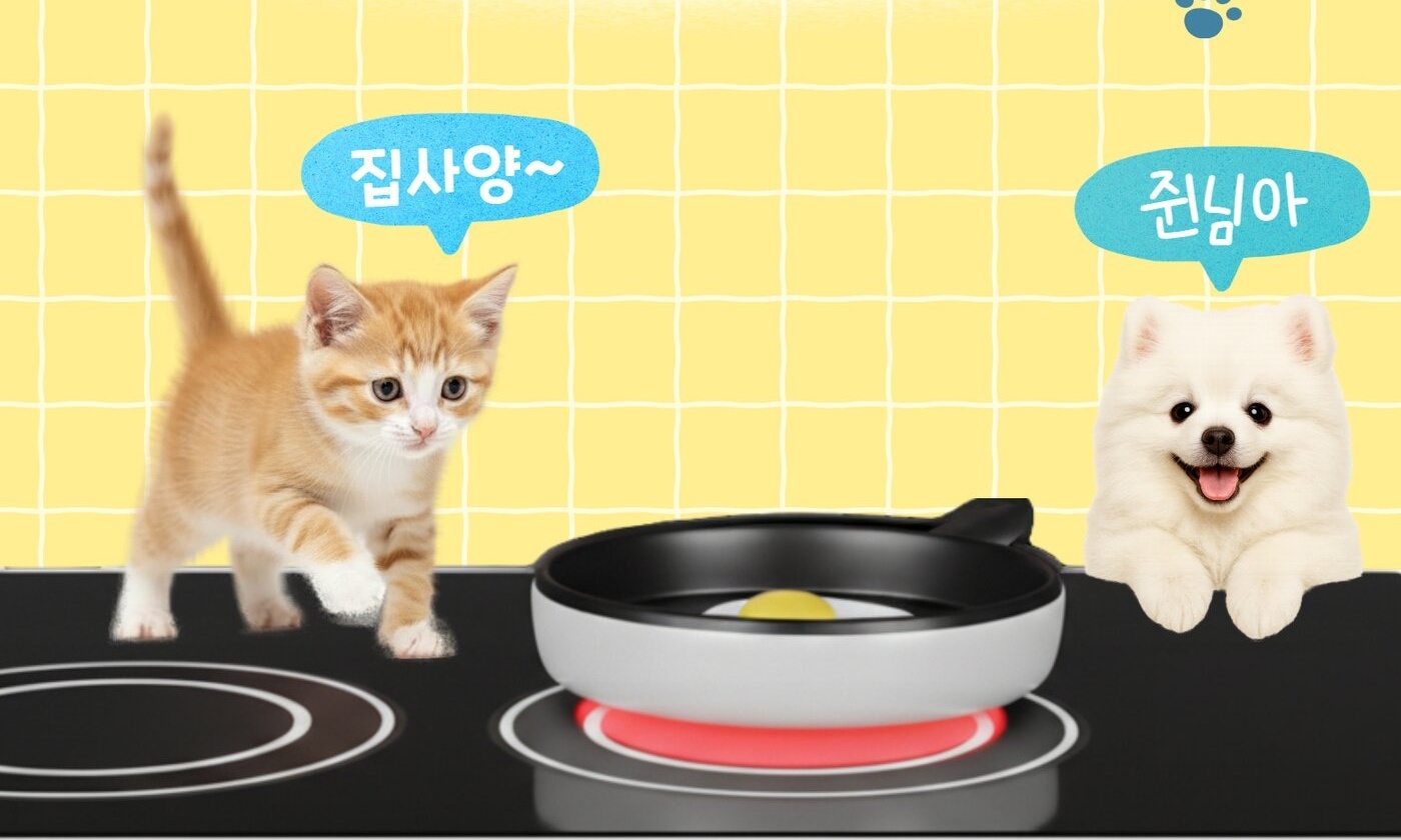 인덕션 건드려서…3년간 반려동물로 인한 화재 133건 발생