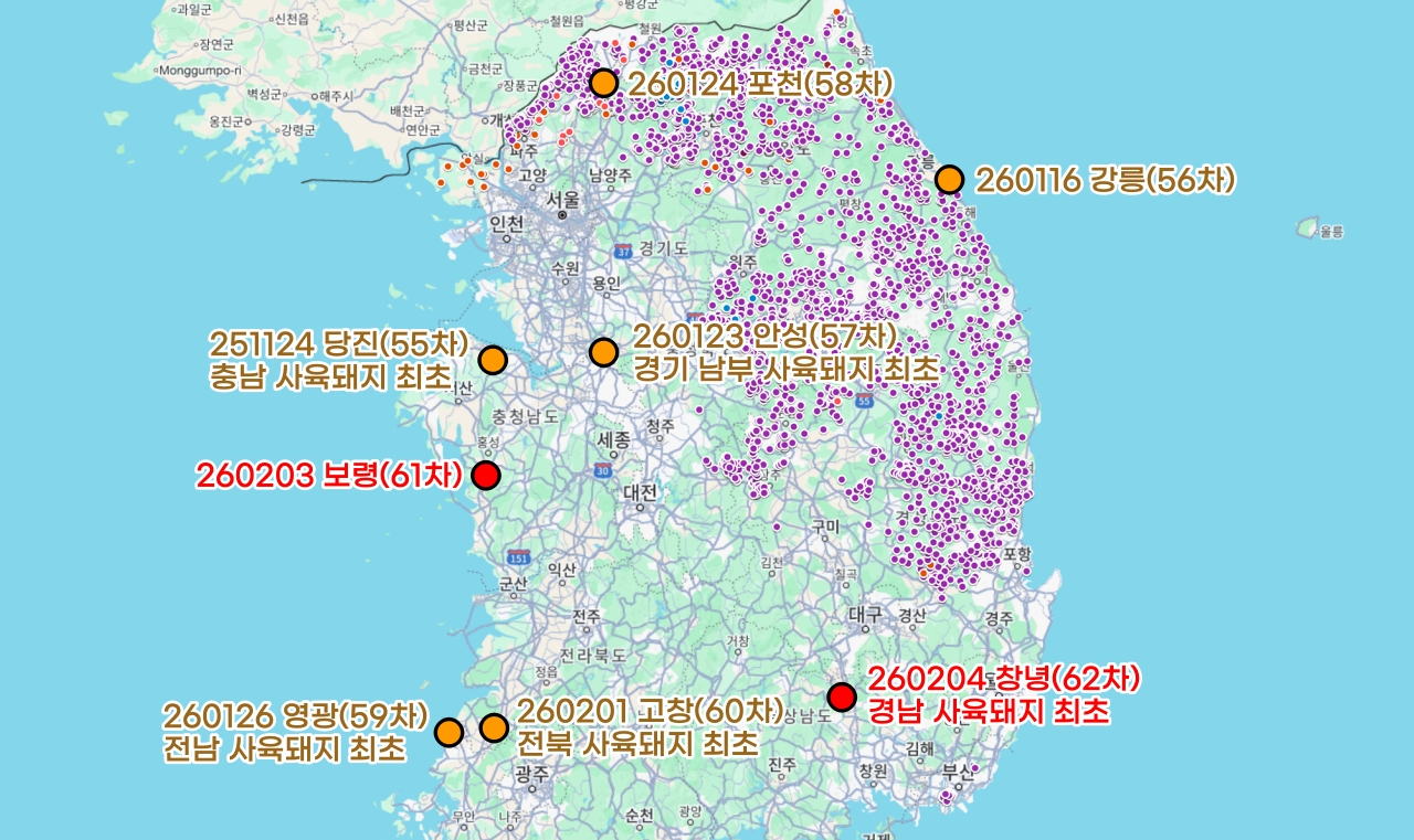 충남 보령, 경남 창녕 아프리카돼지열병..전국 발생 현실화