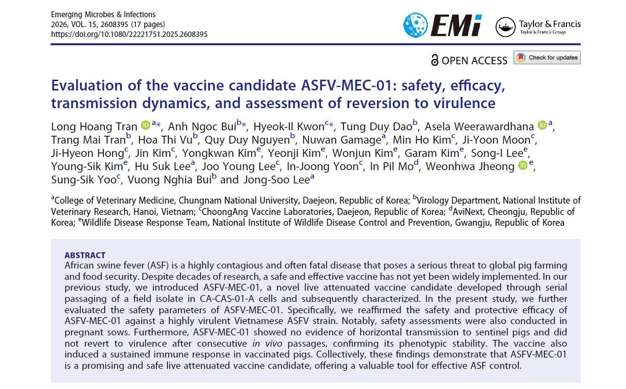 국내 개발 ASF 생백신후보주, 안전성·효능 재입증