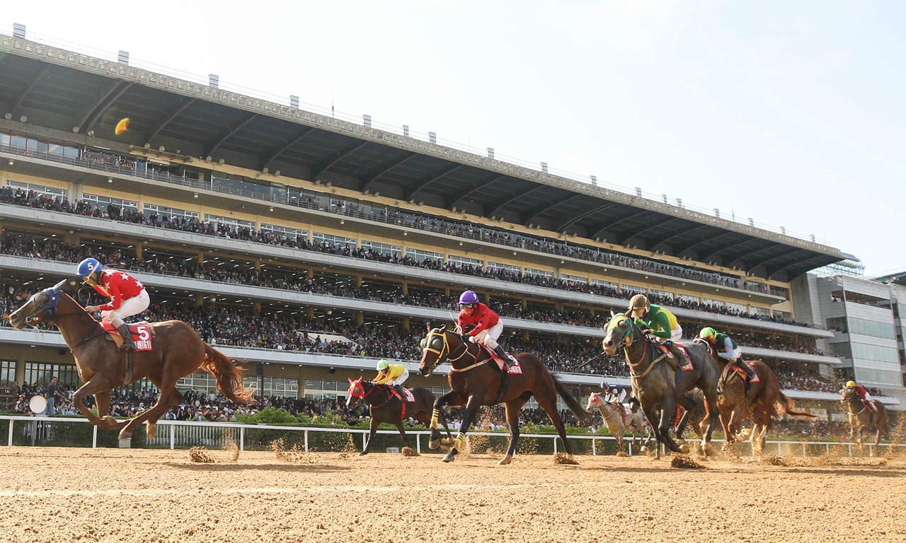 경주마 부상 관련 한국마사회 연구, 세계적 권위 학술지에 잇따라 게재