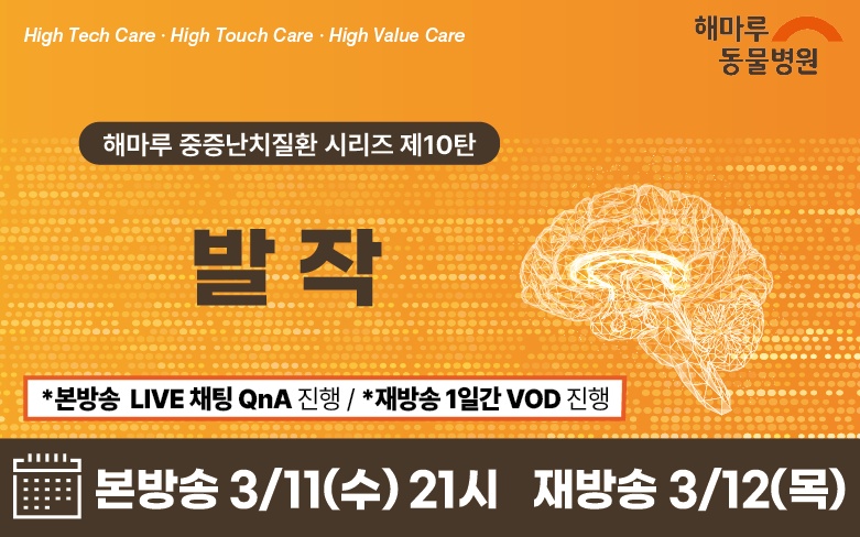 ‘해마루 중증난치질환시리즈 10탄’, 발작 웨비나 3월 11일 개최