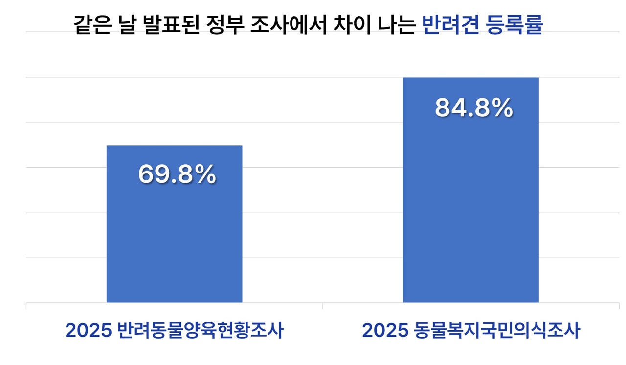 부정확한 동물등록률…정부 조사에서도 차이 확인