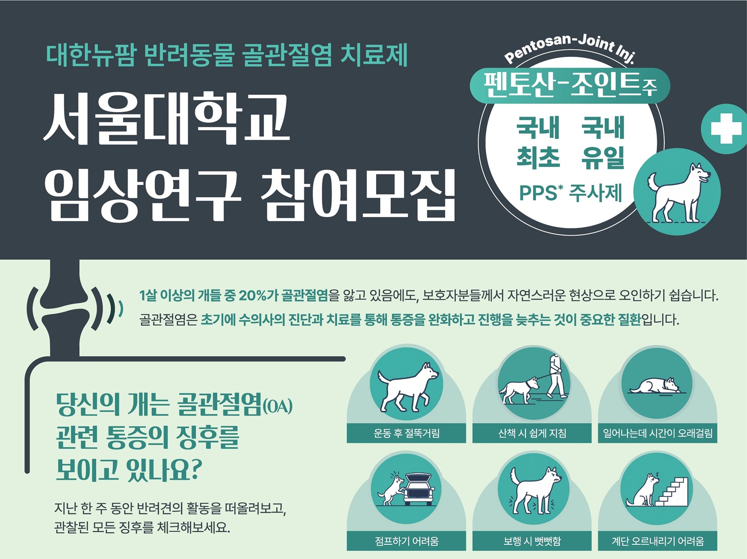 서울대동물병원에서 '개 골관절염 주사제' 신약 임상 참여자를 모집합... - 뉴스 썸네일 이미지