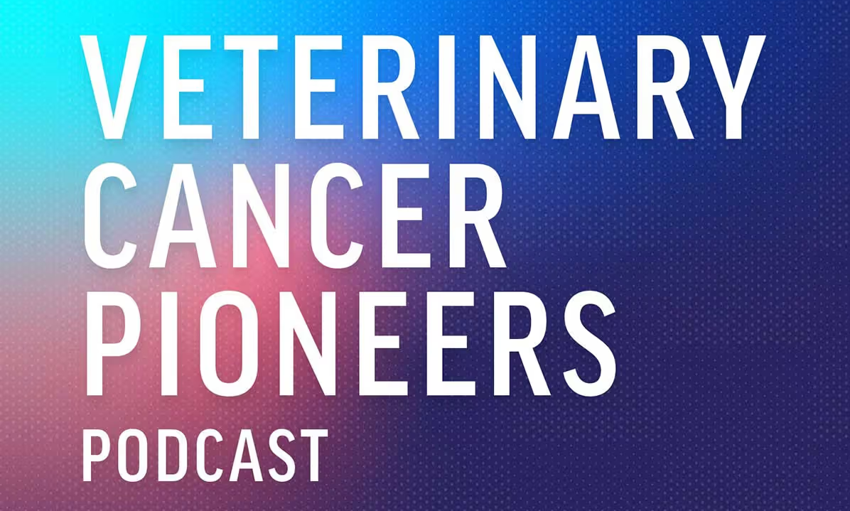 '강의실 밖 진료실의 고민을 엿보다' - 뉴스 썸네일 이미지