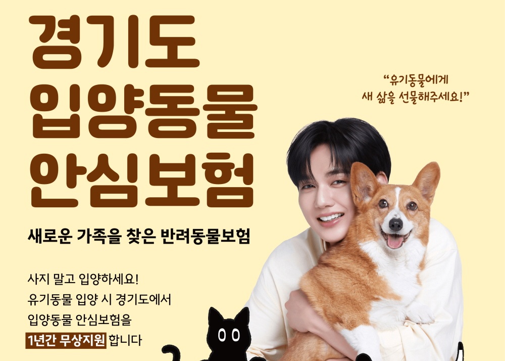 경기도에서 유기동물 입양하면, 1년간 마이브라운 펫보험 무료 지원 - 뉴스 썸네일 이미지