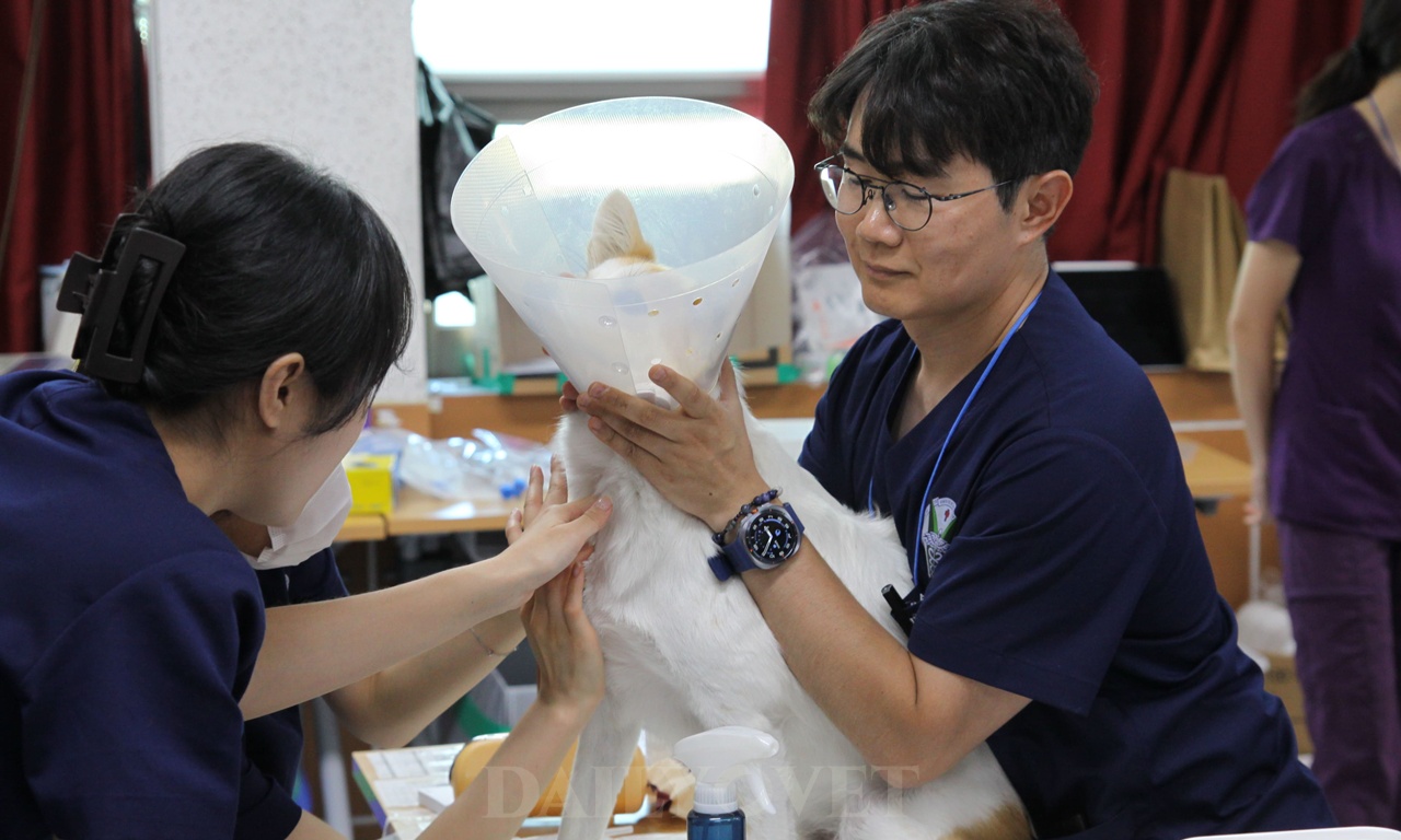 생명경외클럽 VVC, 충남 홍성군 결성면에서 의료봉사활동 펼쳐 - 뉴스 썸네일 이미지