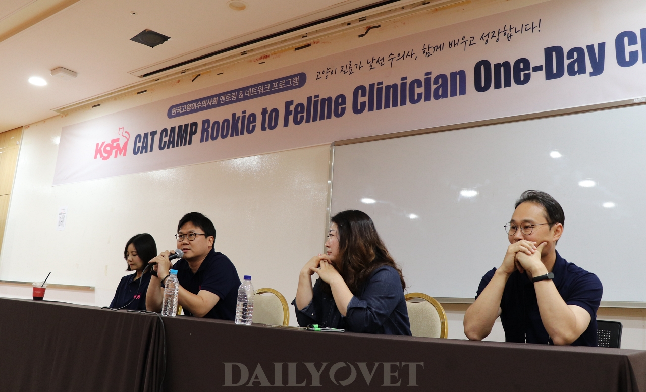One Simple Change for Veterinarians to Improve Cat Care - News Directory 3