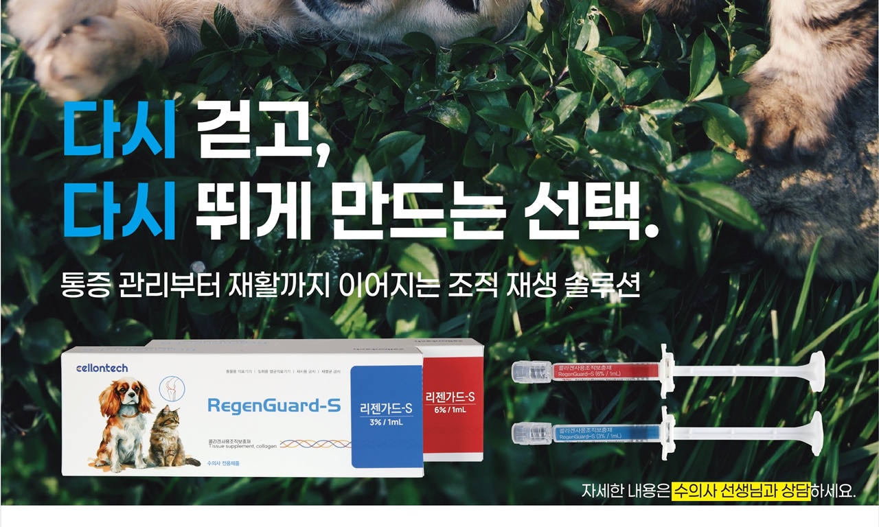 화제의 셀론텍 '리젠가드-S', 부산에 이어 서울수의컨퍼런스에서도 선... - 뉴스 썸네일 이미지