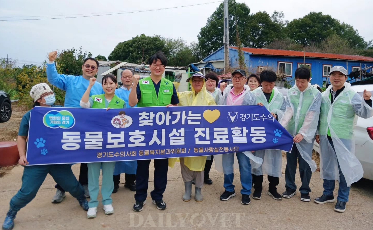 "비가 와도 봉사해야죠" 화성시 동물보호시설 찾은 경기도수의사회 ... - 뉴스 썸네일 이미지
